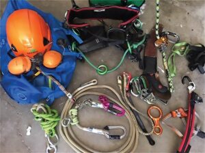 arborist's safety gear