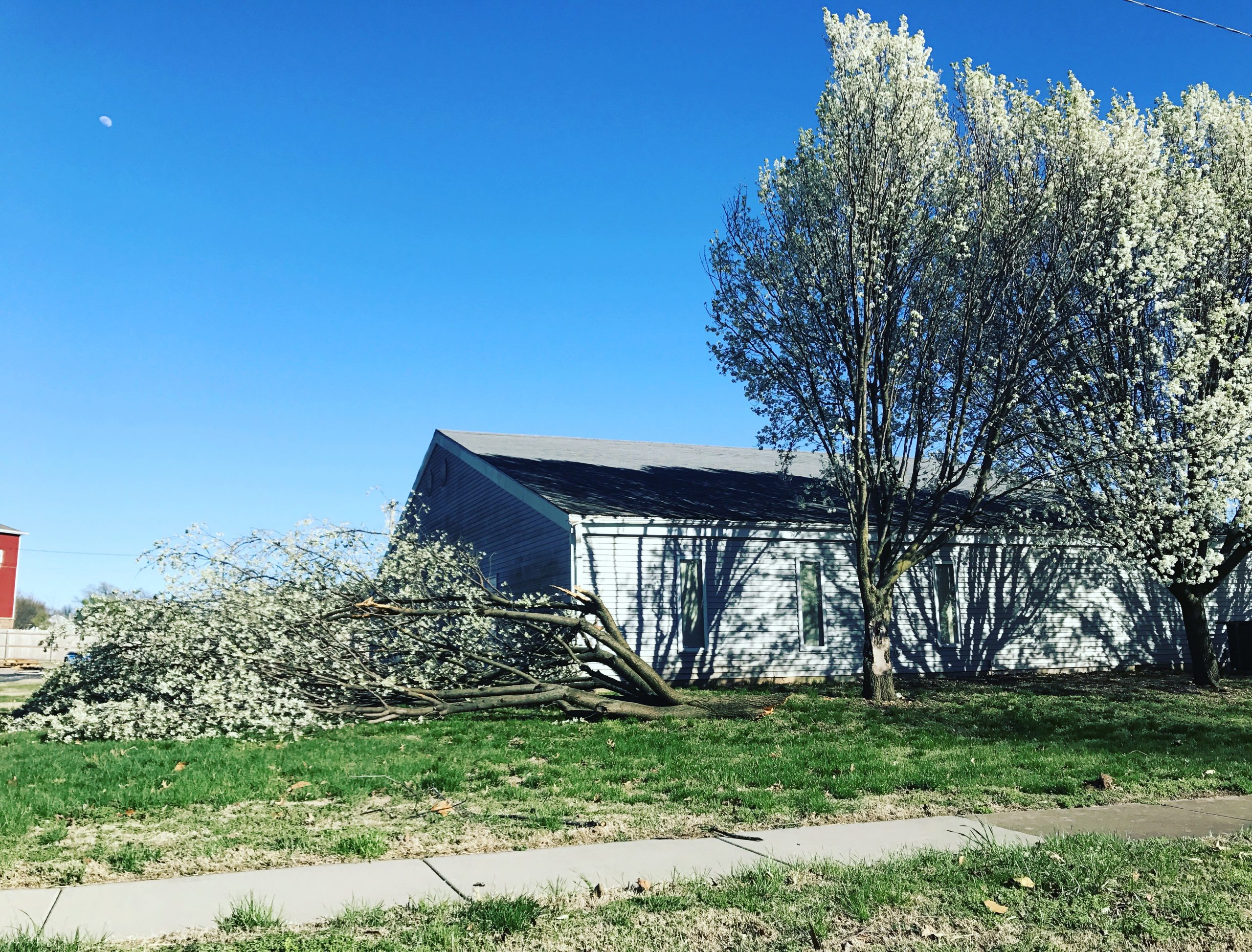 Bradford Storm Damage