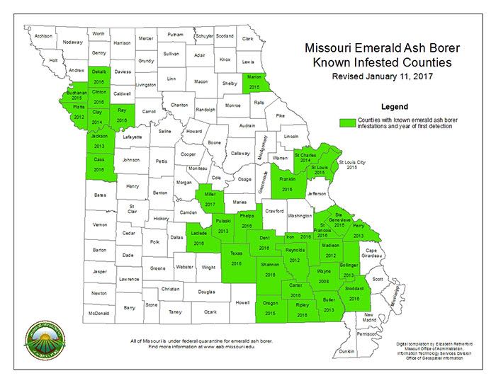 Known EAB Infested Counties