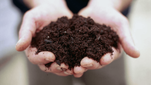 soil-testing
