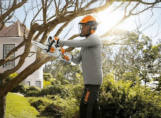 tree pruning rules