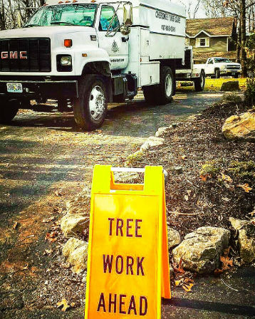 tree work ahead - cherokee tree care